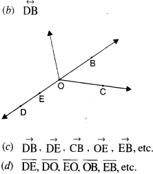 NCERT Solutions for Class 6 Maths Chapter 4 Basic Geometrical Ideas 1